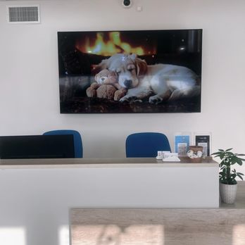 Atlas Veterinary Hospital - Veterinarians Near Me - La Verne, California Atlas Veterinary Hospital - Veterinarians Near Me - La Verne, California