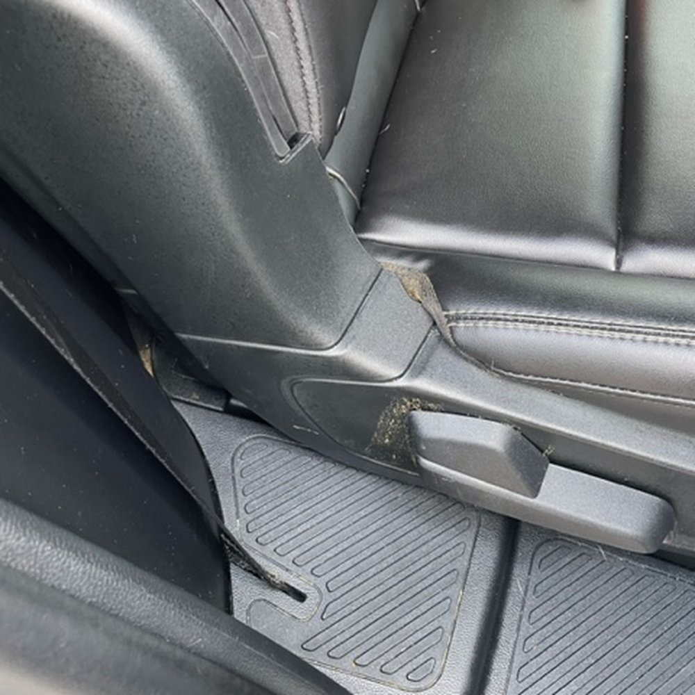 Dog Poop in back seat Dog Poop in back seat