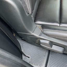 Dog Poop in back seat Dog Poop in back seat