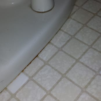 Gina The Cleana - Bug and filth around a Gina-cleaned toilet. - Home Cleaning Near Me