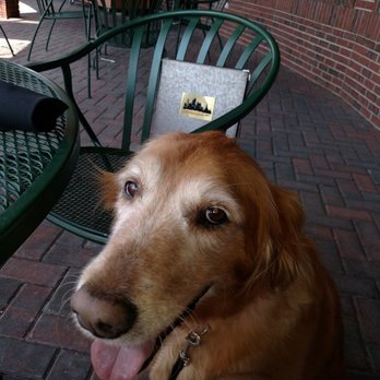 Houligans Steak & Seafood Pub - Katie - Seafood Near Me - Eau Claire, Wisconsin