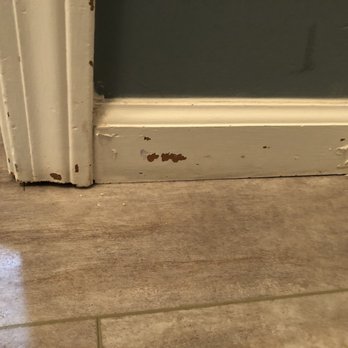 Empire Today - Woodwork beat up was not even supposed to be removed - Carpet Installation Near Me Empire Today - Woodwork beat up was not even supposed to be removed - Carpet Installation Near Me