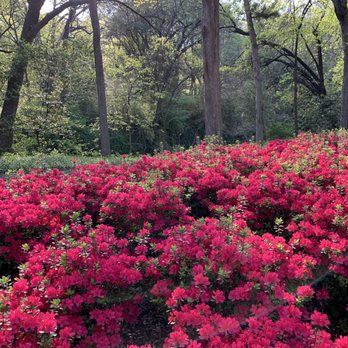 Davis Park - Parks Near Me - Highland Park, Texas