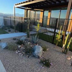 Desert Precision Landscaping