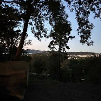 Strawberry Hill - Peaceful surroundings! - Parks Near Me - San Francisco, California Strawberry Hill - Peaceful surroundings! - Parks Near Me - San Francisco, California