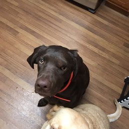 They're home! They're home!