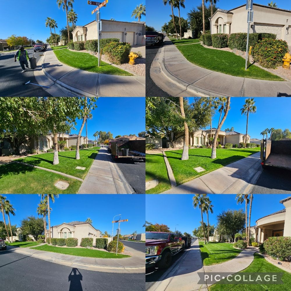 AJ's Lawn Services And Junk Removal - tree service in Phoenix, AZ