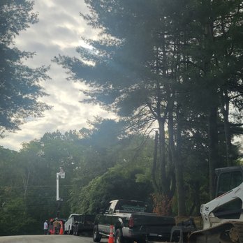 Sharptop Tree Service - Tree Services Near Me - Lynchburg, Virginia Sharptop Tree Service - Tree Services Near Me - Lynchburg, Virginia