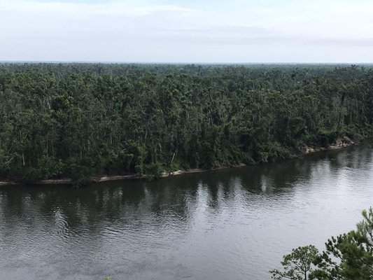 The Nature Conservancy Apalachicola Bluffs and Ravines Preserve (Garden of Eden trail) by null