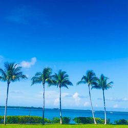 Tarpon Point Marina - Have a blue-sky day.