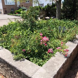 What is this mess? Landscape design - I don't think so What is this mess? Landscape design - I don't think so