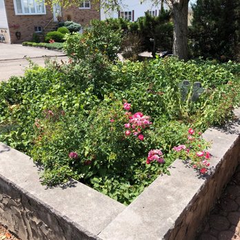 CLC Landscape Design - What is this mess? Landscape design - I don't think so - Landscaping Near Me - Ringwood, New Jersey CLC Landscape Design - What is this mess? Landscape design - I don't think so - Landscaping Near Me - Ringwood, New Jersey