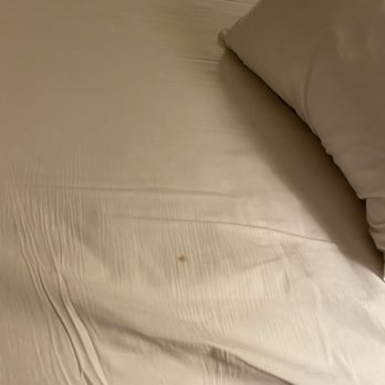 Bahia Resort Hotel - San Diego, CA