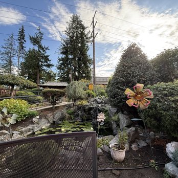 Umi Cafe - Cute pond by the patio area - Bubble Tea Near Me - Issaquah, Washington Umi Cafe - Cute pond by the patio area - Bubble Tea Near Me - Issaquah, Washington