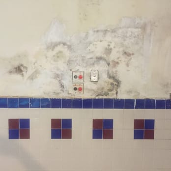 PSY Spa USA - Cracks/ mildew and water damage all over the walls in the pool area. Dark mold (?) in certain sections - Skin Care Near Me - San Leandro, California PSY Spa USA - Cracks/ mildew and water damage all over the walls in the pool area. Dark mold (?) in certain sections - Skin Care Near Me - San Leandro, California