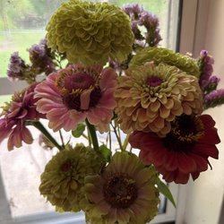 Berry Hill Farm - Weekly fresh cut flowers in each delivery