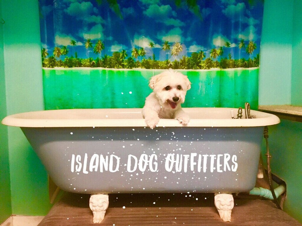 Island Dog Outfitters Image