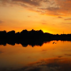 Seenpark - Seenpark