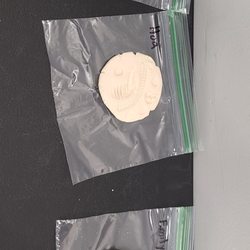 Duluth Childrens Museum - Our fossil prints