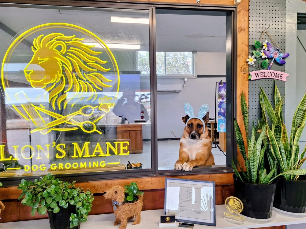 LIONS MANE GROOMING - Updated June 2026 - Request an Appointment - 1342 ...