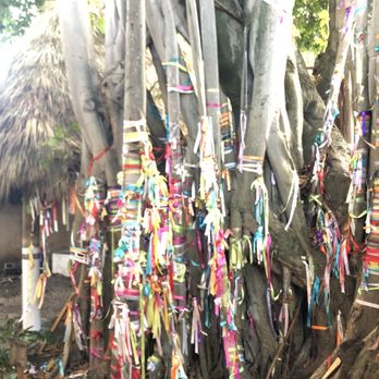 The Bodhi Wishtree - Local Flavor Near Me - Miami, Florida