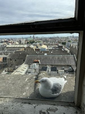 1837 Bar & Brasserie at Guinness Storehouse by null