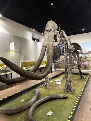 Regional Museum of Guadalajara by null