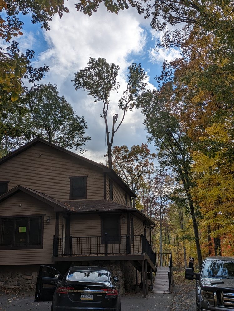DILIGENT DESCENT TREE SERVICE Request a Quote Moscow, Pennsylvania
