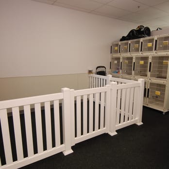 PJ Noah PetSalon - Lake Forest - Play free area! - Pet Groomers Near Me - Lake Forest, California