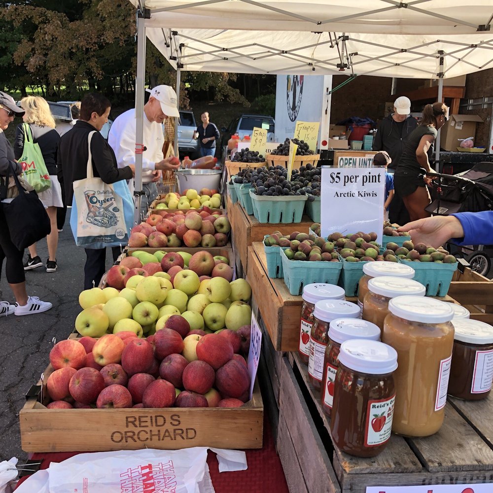 Reston Farmer's Market - people shopping for apples - Farmers Market Near Me - Reston, Virginia Reston Farmer's Market - people shopping for apples - Farmers Market Near Me - Reston, Virginia