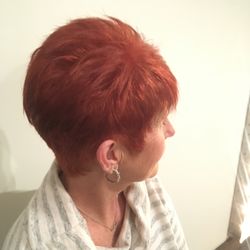 Scissor Sisters Salon