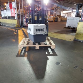 Unity Customs Brokers - Getting pups at JFK - Customs Brokers Near Me - Los Angeles, California Unity Customs Brokers - Getting pups at JFK - Customs Brokers Near Me - Los Angeles, California
