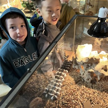 Crowes Nest Farm - Reptile Room - Attraction Farms Near Me - Manor, Texas Crowes Nest Farm - Reptile Room - Attraction Farms Near Me - Manor, Texas