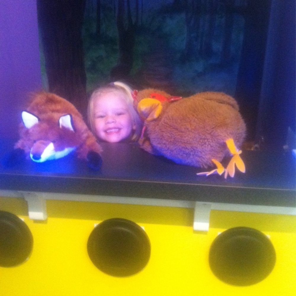 Great Lakes Children's Museum - Puppet shows - Children's Museums Near Me - Traverse City, Michigan Great Lakes Children's Museum - Puppet shows - Children's Museums Near Me - Traverse City, Michigan