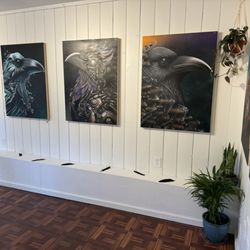 Dytch66 Gallery