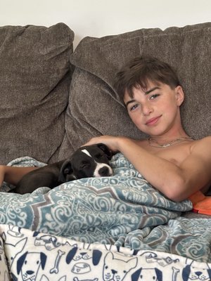 Lucky Dog Animal Rescue by null