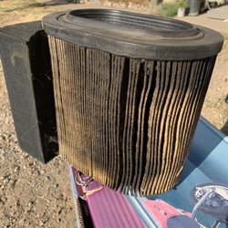 Cassidy's Auto Lube - Never checked my air filter!