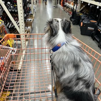 The Home Depot - 1st time and pet friendly - Hardware Stores Near Me - Kissimmee, Florida The Home Depot - 1st time and pet friendly - Hardware Stores Near Me - Kissimmee, Florida
