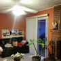 Photo of C&C Cleaners - House Cleaning Service