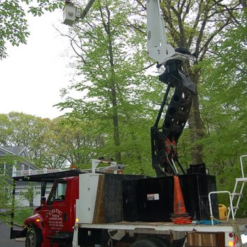 Celtic Tree & Landscape - a crane working on a tree - Tree Services Near Me