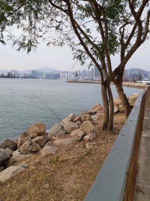 Tsim Sha Tsui Promenade by null