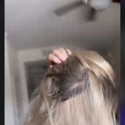 The Hive Salon