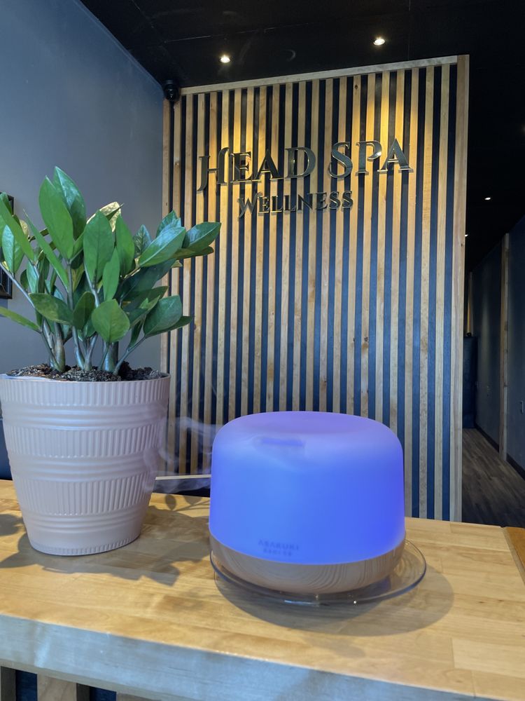 Headspa Wellness Logo