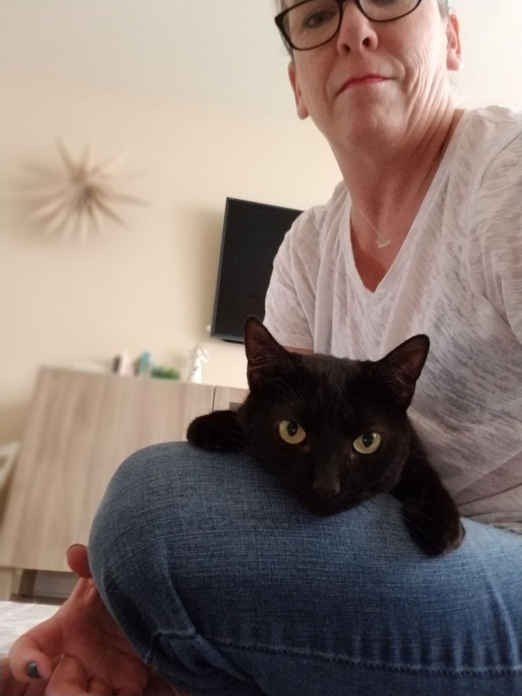 YOUR LUCKY PET SITTER 76 Photos & 24 Reviews Lakewood, California Pet Sitting Phone