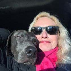 Paw Prints Pet Services - My Grand dog Archie