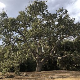 This photo pretty much some up beautiful 1000 Oaks This photo pretty much some up beautiful 1000 Oaks