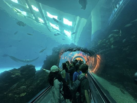 National Museum of Marine Biology & Aquarium by null