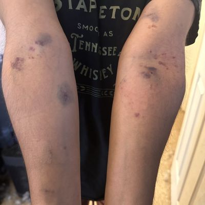 North Shore University Hospital by null