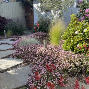 Premier Landscape Design - Landscape Architects or Designers Near Me