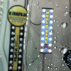 Brown Bear Car Wash